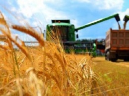 Государственная зерновая корпорация начала закупку зерна урожая 2021 года
