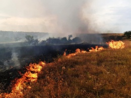 Под Кривым Рогом пожарные в течение дня ликвидировали два пожара в экосистемах