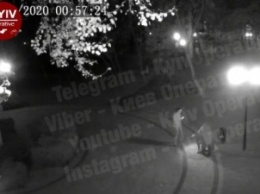 Под Киевом неадекват с ножом на улице напал на женщину с собакой: момент попал на видео