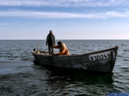 Вы о такой и не слышали - рыбак назвал свою любимую рыбу, которую ловят в Азовском море (фото)
