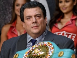 Бокс: WBC хочет назвать новую весовую категорию "Бриджер"