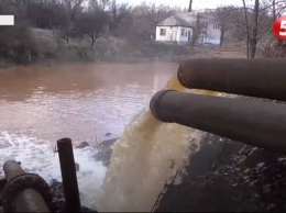 В Луганской области река Комышеваха превращается в болото (видео)