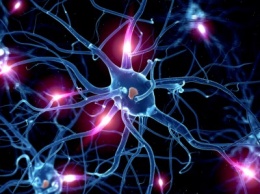 Ученые обнаружили взаимосвязь между мозгом человека и Вселенной