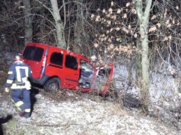 Под Харьковом легковушка влетела в дерево: водителя вырезали спасатели