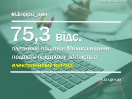 Налоговую отчетность в электронном виде подают 75,3 процента налогоплательщиков Николаевщины