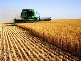 Зеленский одобрил создание Аграрного реестра