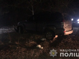 В Харьковской области машина с тремя детьми врезалась в дерево. Фото