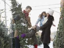 Где купить новогоднее дерево: адреса елочных базаров в Запорожье и области