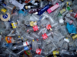Coca-Cola, Roshen и PepsiCo: активисты назвали топ-10 брендов в Украине, которые загрязняют окружающую среду пластиком