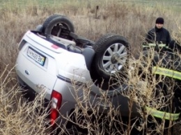 В Запорожской области легковой автомобиль вылетел в кювет (фото)