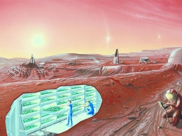 НАСА работает над новым проектом конвертации углерода в кислород на Марсе