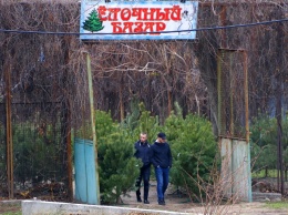 "Стоимость" праздничного настроения и откуда в Никополь привезли елки