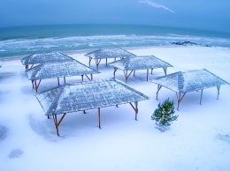 На пляже Федотовой косы появилась новогодняя елка (фото)