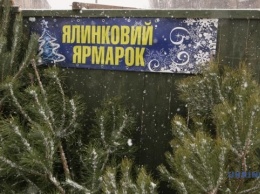 На елочных базарах Киева провели экорейды