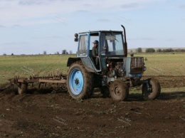 В 2020 году аграрии Крыма получили более трех млрд рублей субсидий