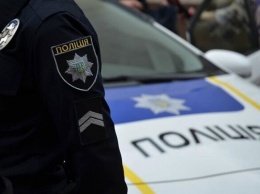 Подарил настроение: в Киеве пьяный водитель сыграл патрульным "Катюшу" на гармони