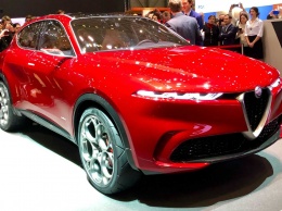 Осенью начнутся продажи кроссовера Alfa Romeo Tonale