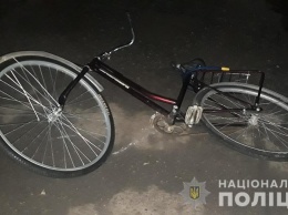 В Запорожской области велосипедистка попала под колеса автомобиля
