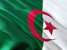 Украина и Алжир проведут новые раунды деловых переговоров в феврале-марте
