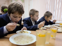 В каких скандалах был замешан «Контракт Продрезерв 5», что будет кормить школьников Новомосковска