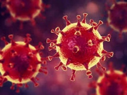 Эксперты объяснили, может ли коронавирус быть биологическим оружием