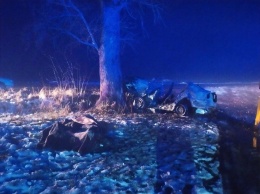 В Житомирской области автомобиль влетел в дерево, три человека погибли