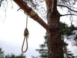 Суицид: криворожанина искали полдня и нашли на дереве