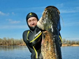 В Днепре подводный охотник выловил очередную огромную рыбу (фото)