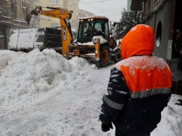Снегопад во Львове перевел горожан на «дистанционку» - фото снежных завалов