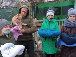 Школьники Покрова изготовили лежанки для бездомных котов