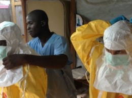 В Конго обнаружили более 500 заражений чумой, в большинстве случаев - бубонной