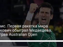 Теннис. Первая ракетка мира Джокович обыграл Медведева, выиграв Australian Open