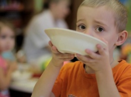 "Нет хлеба, молока и мяса": в Харьковской области проверят детсады, в которых голодают дети