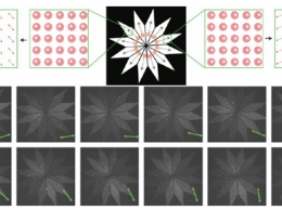Контроль ориентации ДНК-оригами поможет интегрировать их в микросхемы