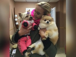 Без собаки жизнь не та! 8 российских звезд-собачников