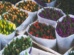 Готовь кошелек: во сколько обойдется букет цветов к 8 марта