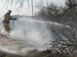 В Советском районе Крыма горело поле возле дороги