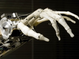 Руки роботов снабдили чувствительными «подушечками пальцев»