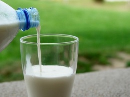 Украинские производители возмущены неконкурентным импортом иностранной молочки: ее уже 30%