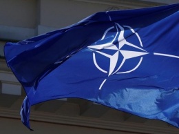 Россия призвала НАТО выбрать один из двух "стульев"