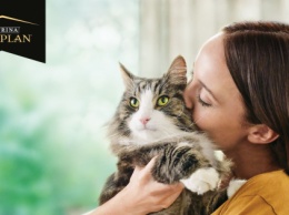 Nestlé представила Pro Plan LiveClear, первый корм, уменьшающий уровень аллергенов у котов