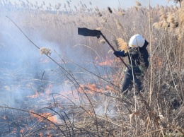 Спасатели призывают жителей Херсонщины соблюдать правила пожарной безопасности в экосистемах