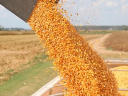 Украина может в 2-3 раза увеличить экспорт зерна в Китай