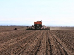 Крымские аграрии приступили к севу кукурузы