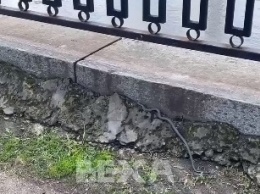 В Харькове на набережной заметили змею (видео)