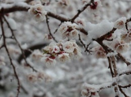 А за окном белым-бело: в Киевскую область вернулась зима и выпал снег, - ВИДЕО