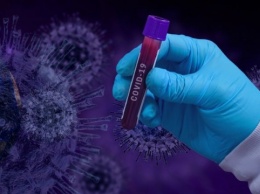 «Индийский» штамм коронавируса обнаружили в Италии