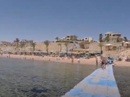 На пляже Египта отдыхающие заметили акулу