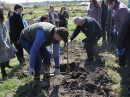 На Волыни заложили сад в усадьбе Леси Украинки