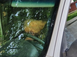 В Кривом Роге в припаркованном автомобиле обнаружили труп мужчины (фото 18+)
